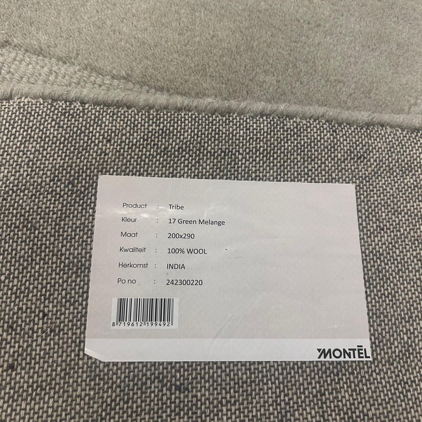 Brinker Carpets Tribe Green Vloerkleed - 200x290cm
