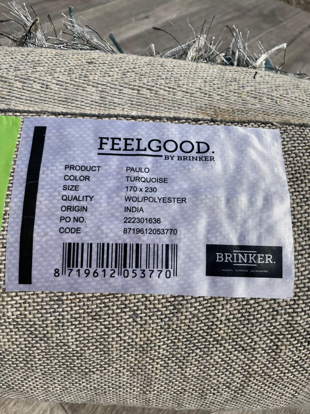 Brinker Carpets Paulo Turquoise Vloerkleed - 170x230cm - Vloerkleden Koning